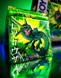 WhatsApp Image 2026-01-07 at 15.47.50